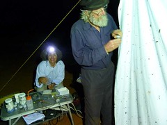 Day 3 - Photo 11: Trapping at light sheet