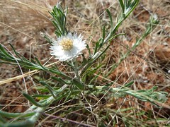 Day 3 - Photo 1: Identification please