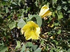 Day 4 - Photo 2: Identification please