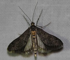 Day 5 - Photo 1: Identification please