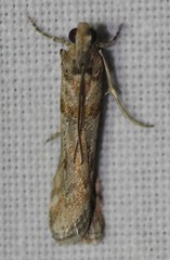 Day 5 - Photo 3: Identification please