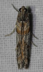 Day 5 - Photo 4: Identification please