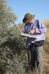 Day 5 - Photo 14: Paul beating Gidgee