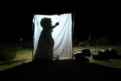 Day 5 - Photo 19: Light sheet trapping at Pulchera Waterhole