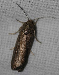 Day 5 - Photo 2: Identification please