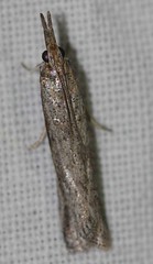 Day 5 - Photo 9: Identification please