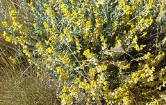 Day 6 - Photo 9: Identification please