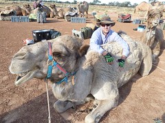 Day 6 - Photo 24: Paul and Istan