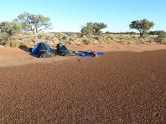 Day 6 - Photo 26: Sleeping quarters