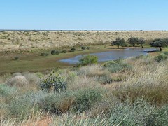 Day 6 - Photo 15: Drying claypan between dunes