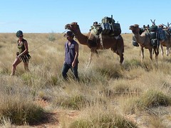 Day 6 - Photo 17: Christie and Sean lead the camels
