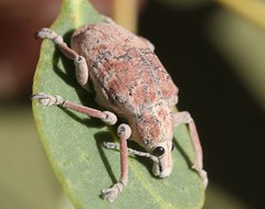 Day 9 - Photo 6 - Identification please