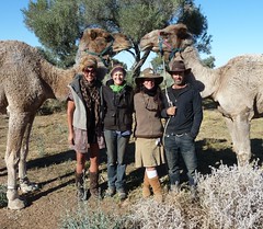 Cameleers plus Istan and Jaffa