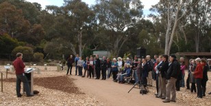 Crowd shot (JM10010365) Crowd at the Tree of Trees launch