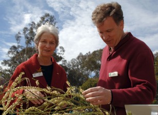 Judy West and Joe Miller (JM10010383) Judy West and Joe Miller examining a wattle