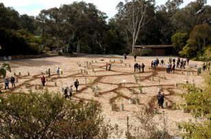 Tree of Trees (JM10010389) Tree of Trees aerial view