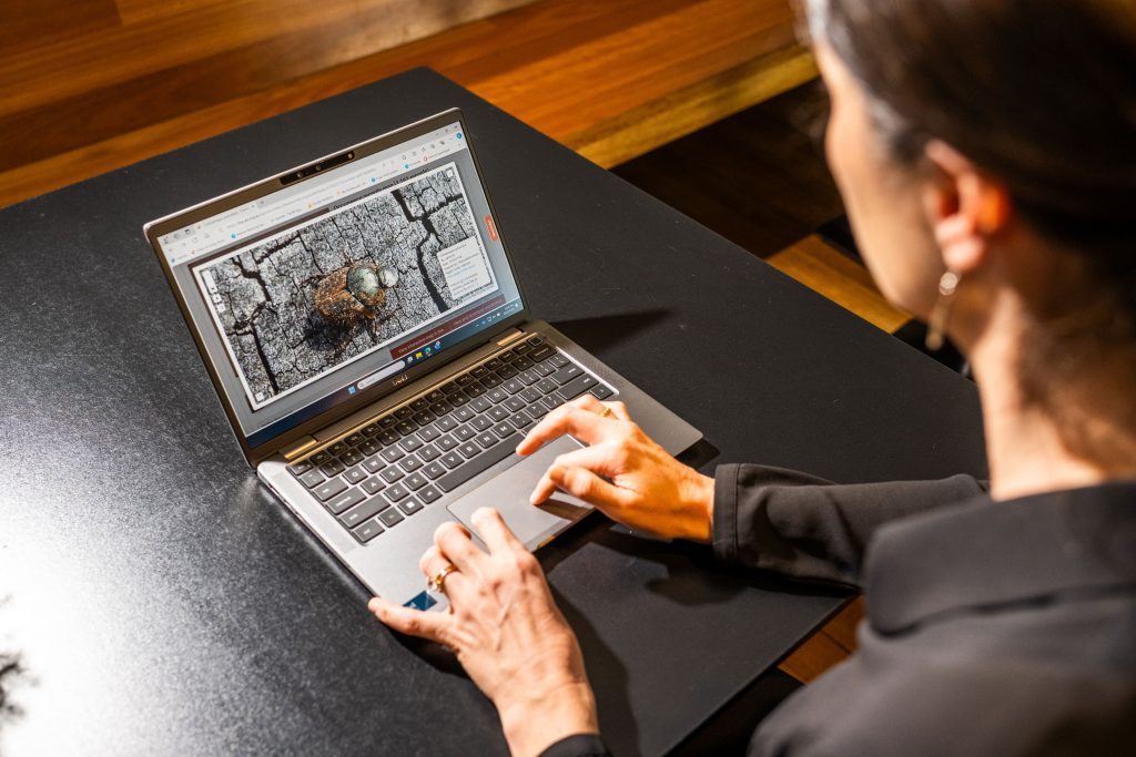 Woman looking at computer with beetle on screen.