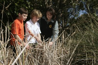Two boys and a lady looking for species in long grass. Two boys and a lady looking at long grass.