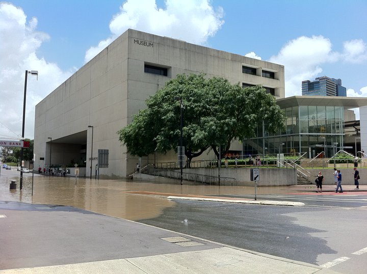 Queensland Museum South Bank Thursday 13 January 2011 Queensland Museum South Bank Thursday 13 January 2011