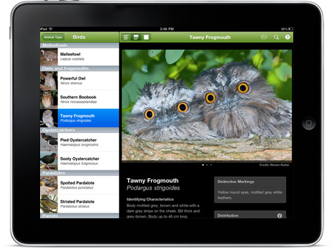 MV Field Guide to Victorian Fauna