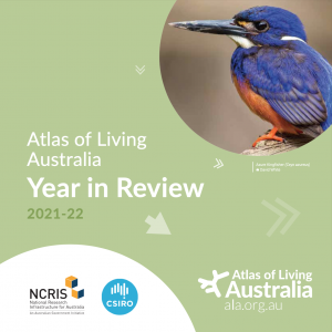 Cover of ALA Year in Review 2021-22. light green background with a blue and orange bird