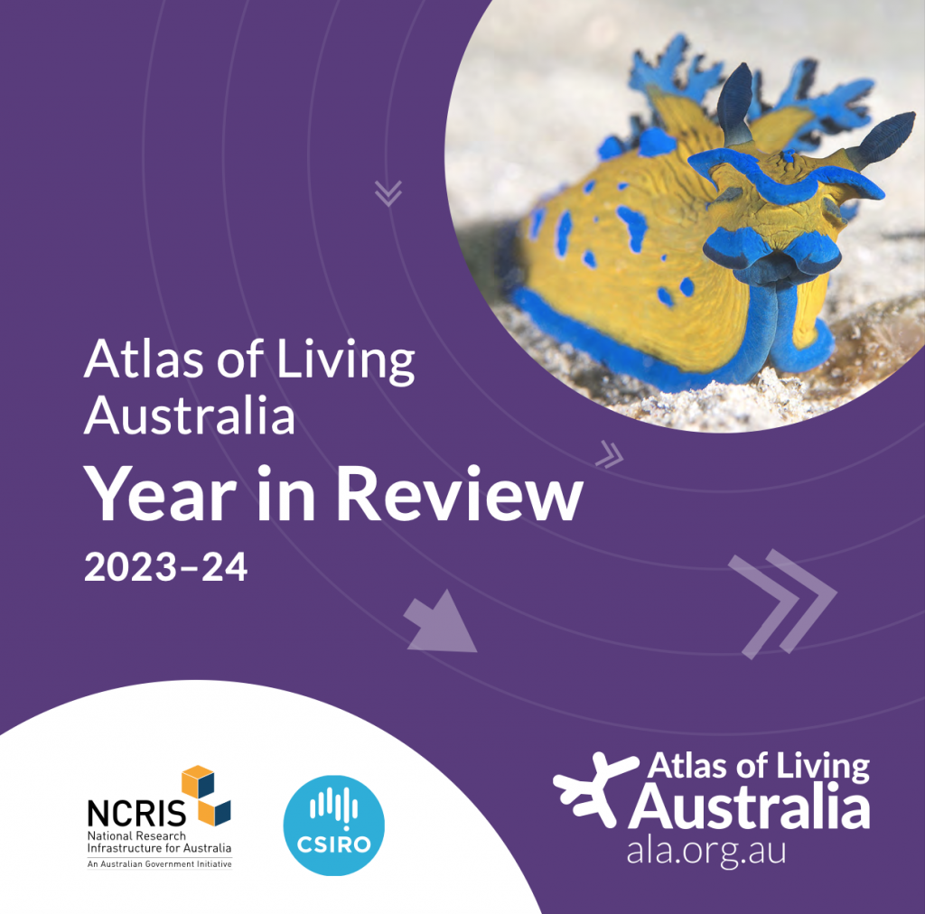 cover of the ALA year in review 2023-24. purple background with a shiny green beetle