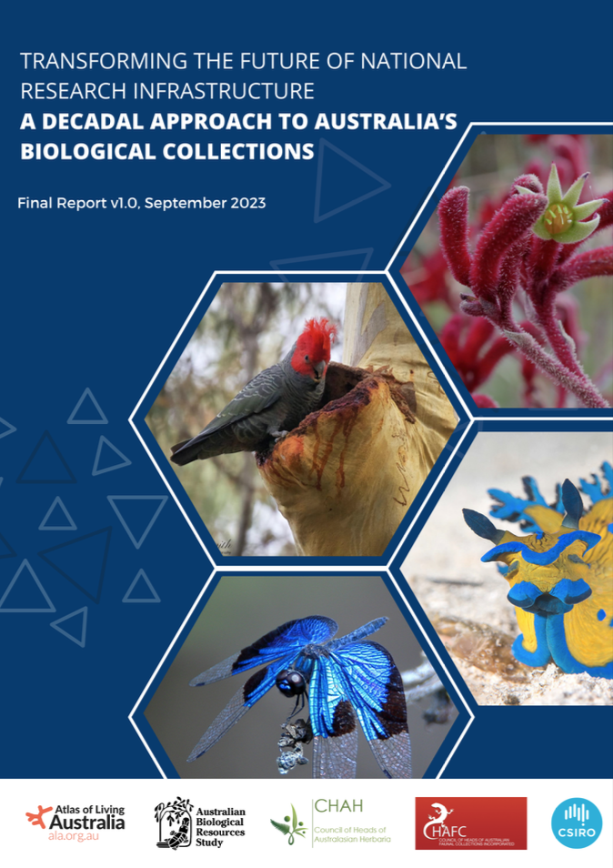 A Decadal Approach to Australia's Biological Collections report. Dark blue cover with a gang-gang cockatoo, nudibranch, kangaroo paw (plant) and jewel flutterer dragonfly