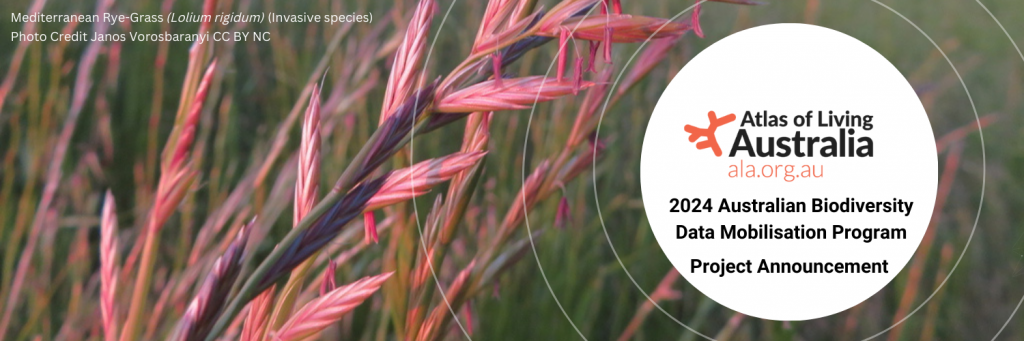 Banner with invasive Mediterranean Rye Grass and the ALA logo