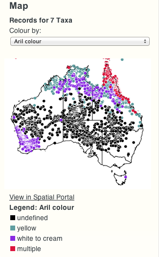 phylojive map aril colour