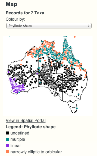 phylojive map phyllode shape
