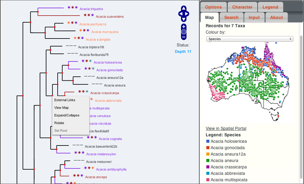 phylojive map species