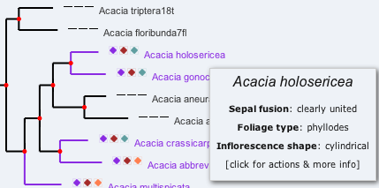 phylojive mouse over
