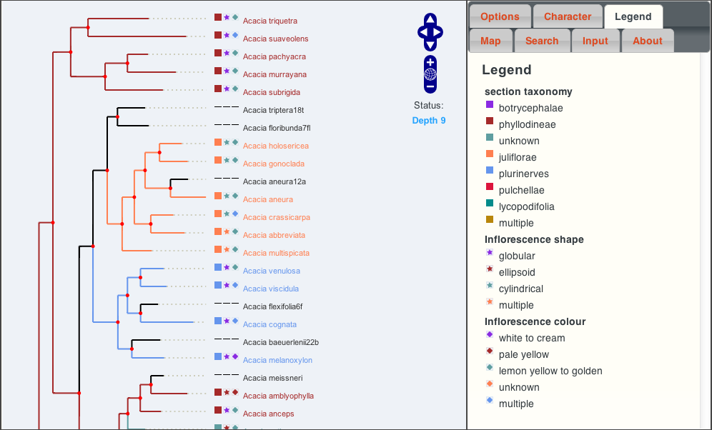 Phylojive - Acacia tree