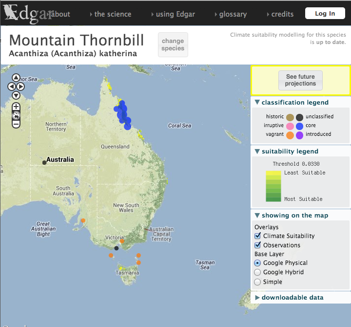Mountain thornbill records as display in the JCU edgar portal Mountain thornbill records as display in the JCU edgar portal