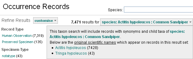 Shows Synonymy for Common Sandpiper Shows Synonymy for Common Sandpiper
